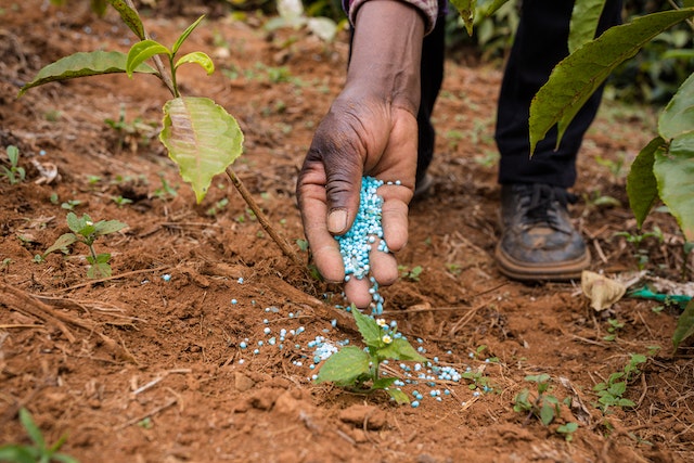 Conventional Agriculture