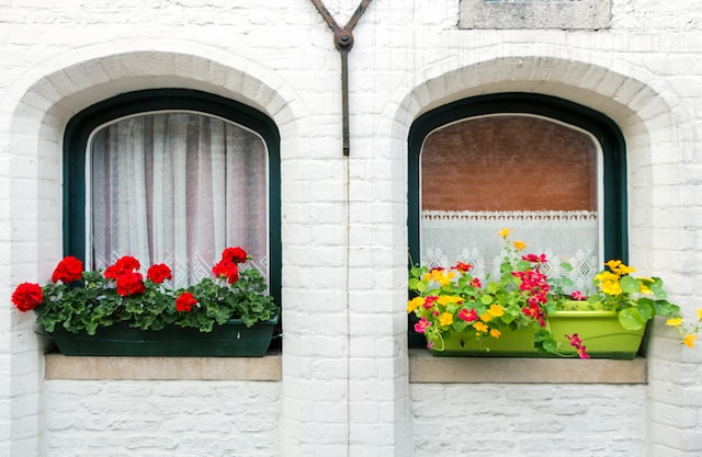 Urban agriculture